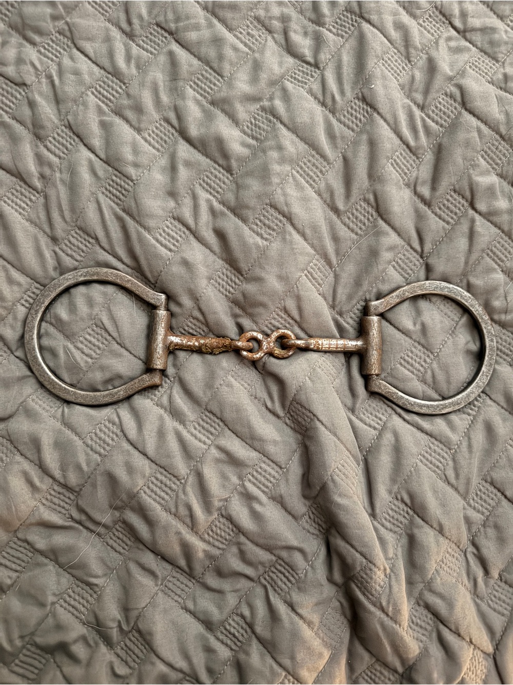 Dog bone Sweet Iron Snaffle Bit